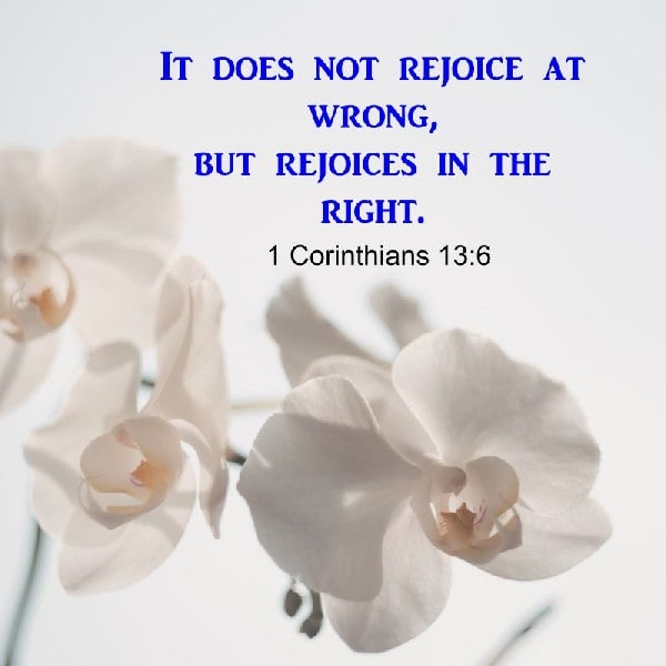1 Corinthians 13:6